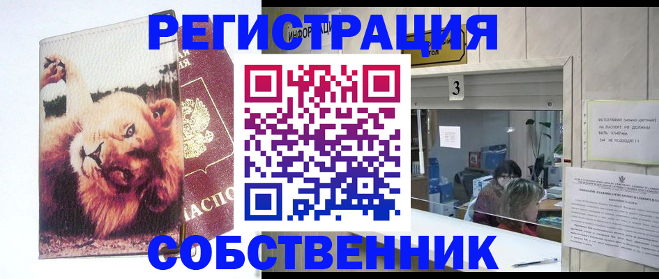 прописка поиск в Мончегорске